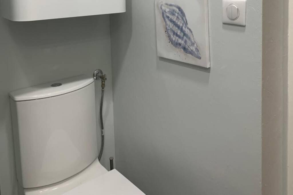 טולוז Joli Appartement Haut Standing En Hyper Centre מראה חיצוני תמונה