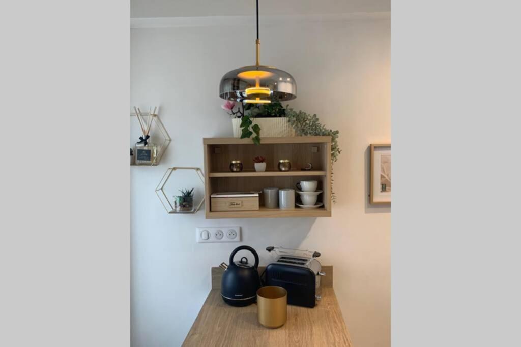 טולוז Joli Appartement Haut Standing En Hyper Centre מראה חיצוני תמונה